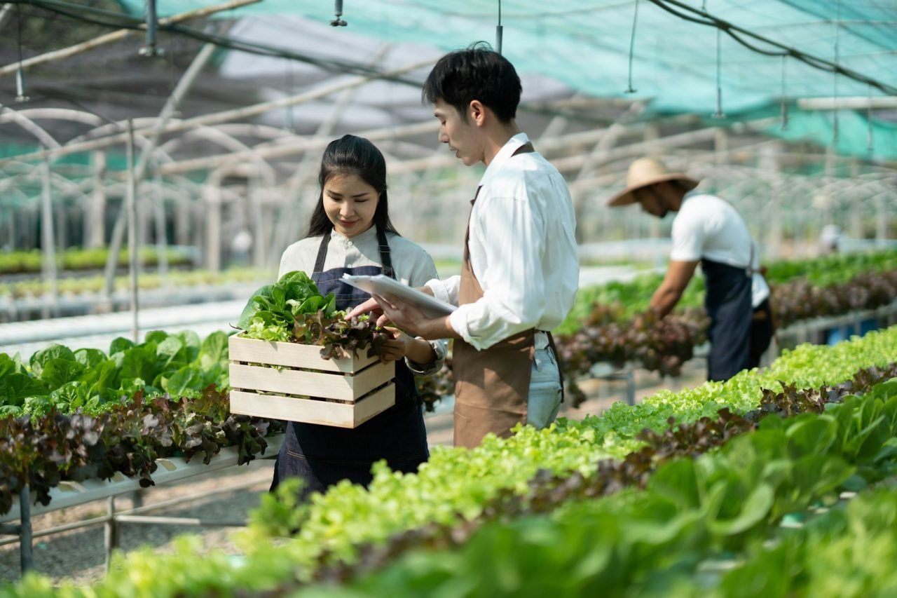 comercialización de productos agrícolas