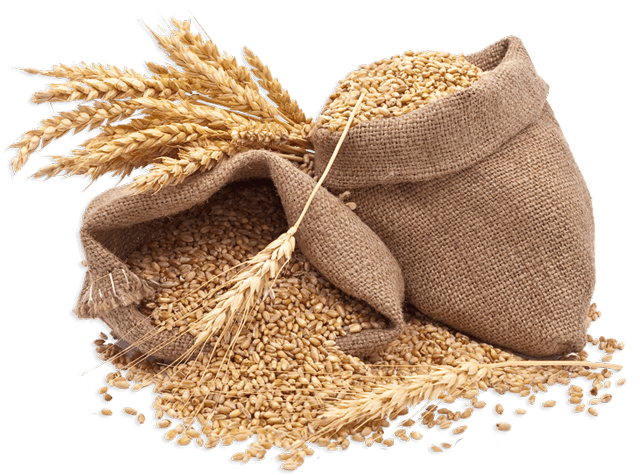 Collas Agro-Plus
